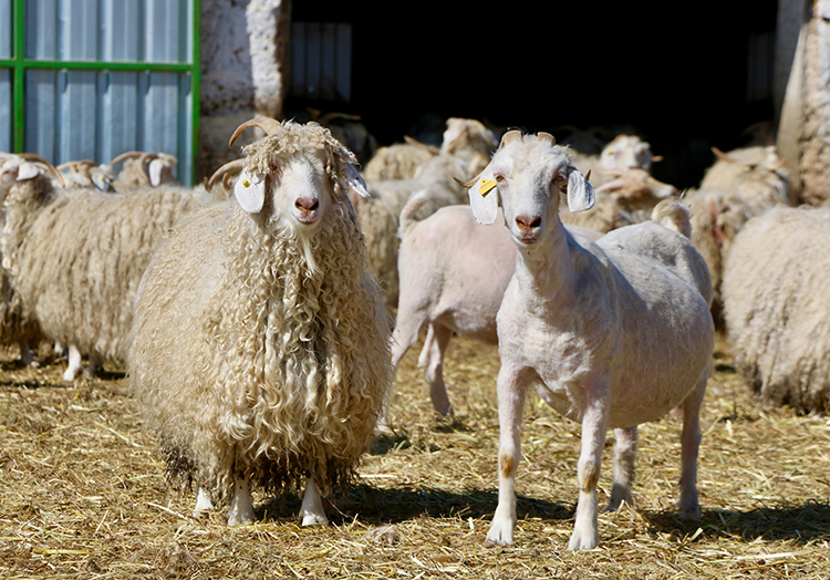 008_2024-09_Mart-31_Mart-25-20240303_2_62811833_98342676